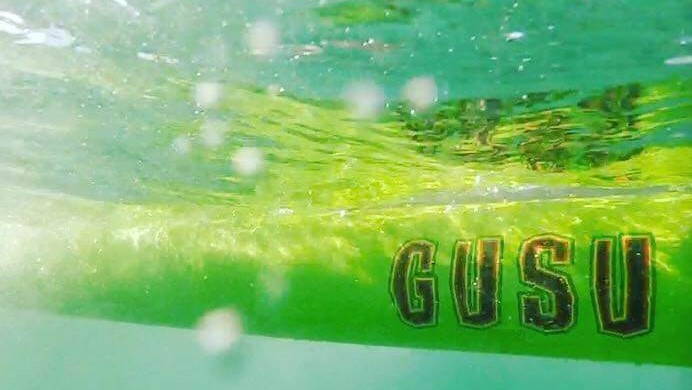 GUSU