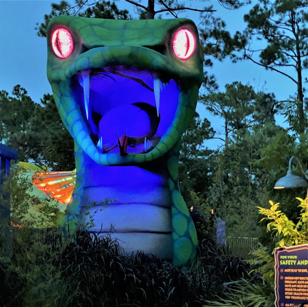 Photo of Swampy Jack's Wongo Adventure